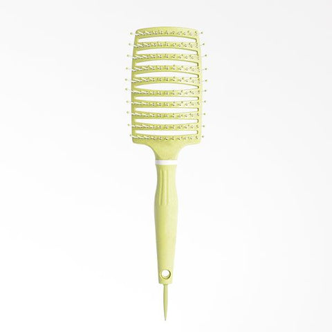 Eco Friendly Large Skeleton Brush